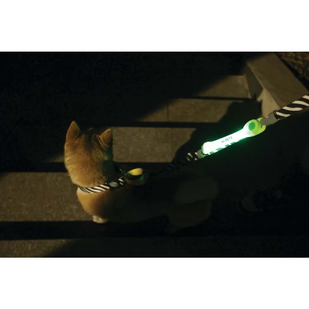 10855999 M-PETS FLASH LED BAND GREEN