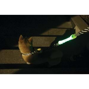 10855999 M-PETS FLASH LED BAND GREEN