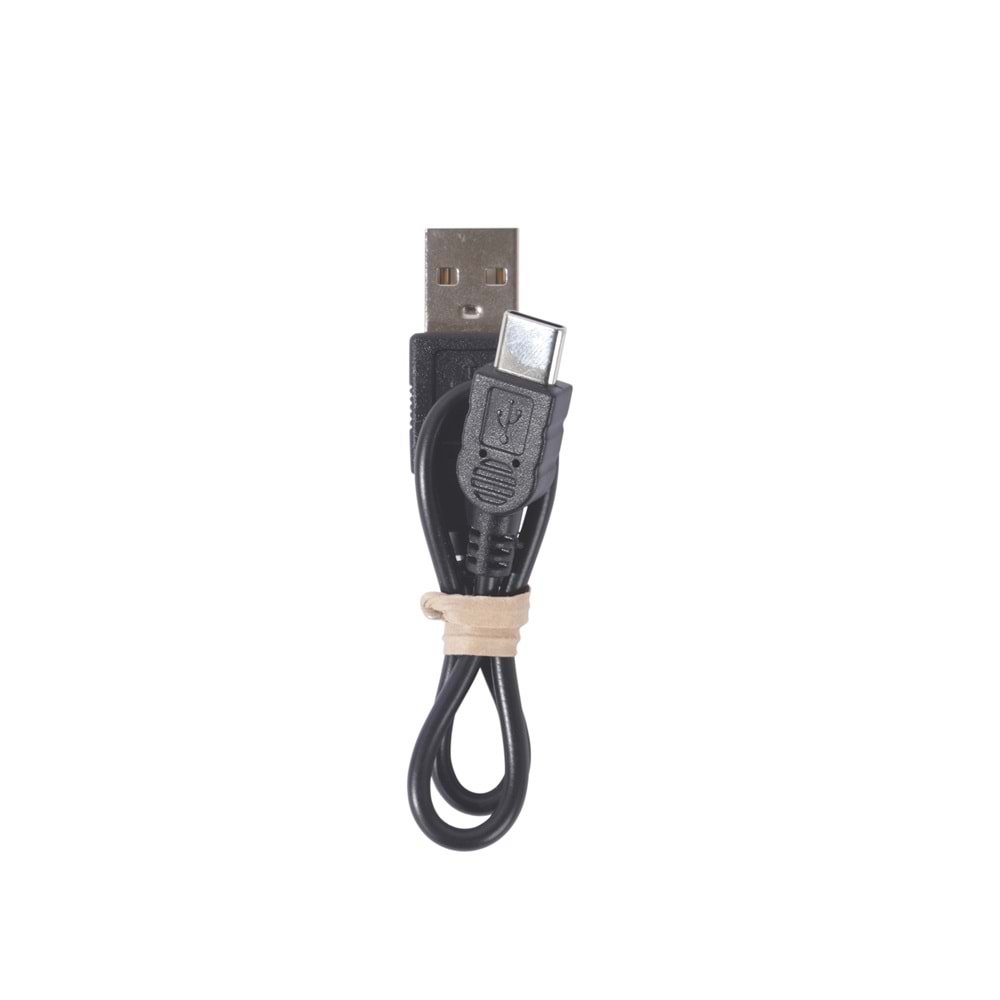 10856399 M-PETS FLASH LED DIŞKI POŞETİ KUTUSU GREEN