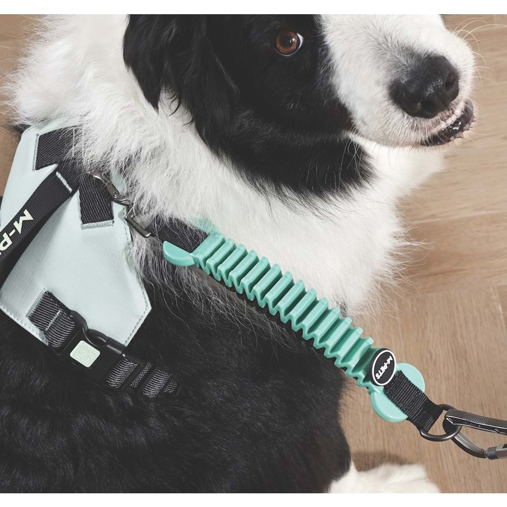 10860299 M-PETS PULL POWER ŞOK EMİCİ ARA TASMA GREEN