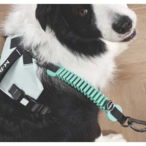 10860299 M-PETS PULL POWER ŞOK EMİCİ ARA TASMA GREEN