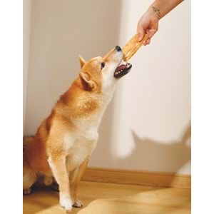19039999 M-PETS BITE DELIGHT LONG CHICKEN KÖPEK ÖDÜLÜ 2KG