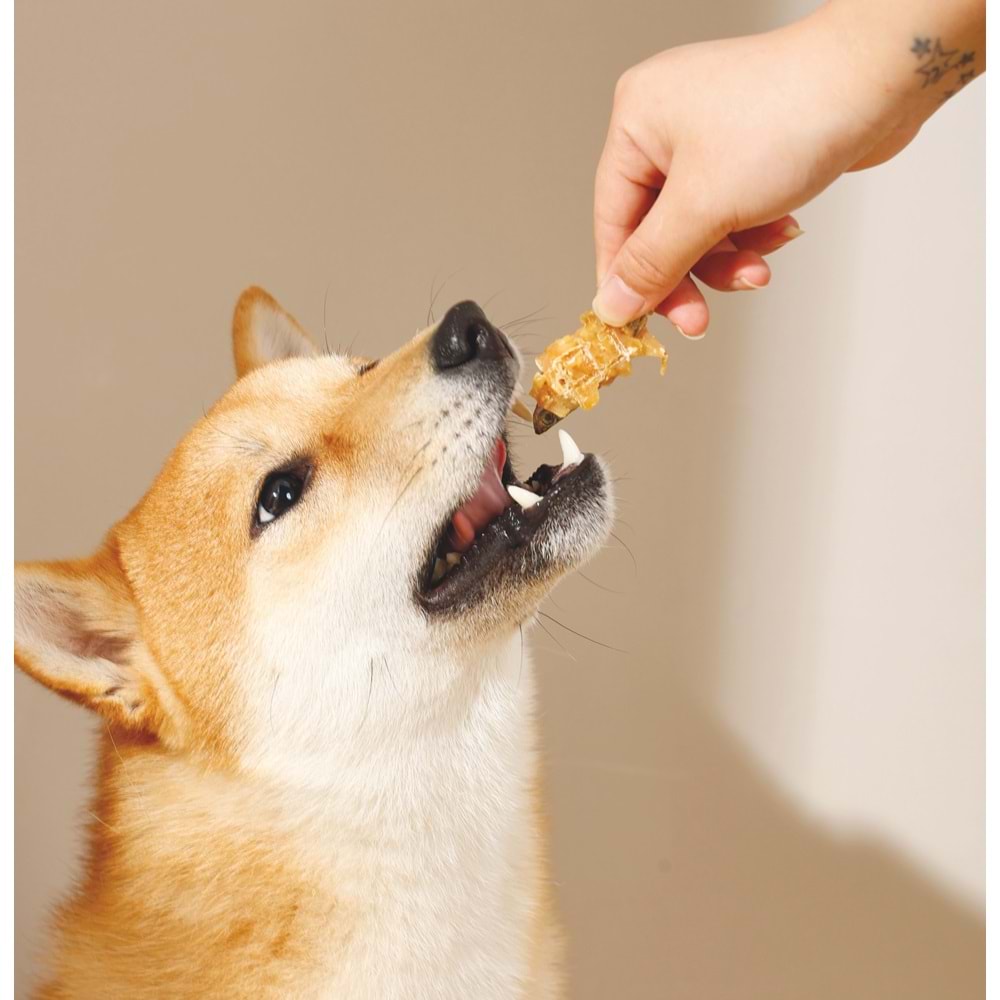 19040399 M-PETS BITE DELIGHT FISH & CHICKEN KÖPEK ÖDÜLÜ 2KG