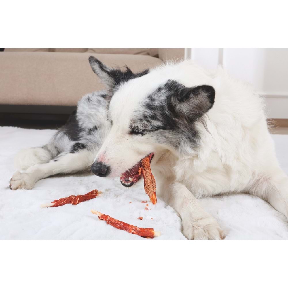 19043099 M-PETS BITE DELIGHT SALMON WİTH CODFİSH WRAP 13CM KÖPEK ÖDÜLÜ 2KG