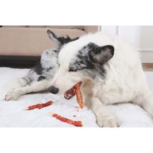 19043099 M-PETS BITE DELIGHT SALMON WİTH CODFİSH WRAP 13CM KÖPEK ÖDÜLÜ 2KG