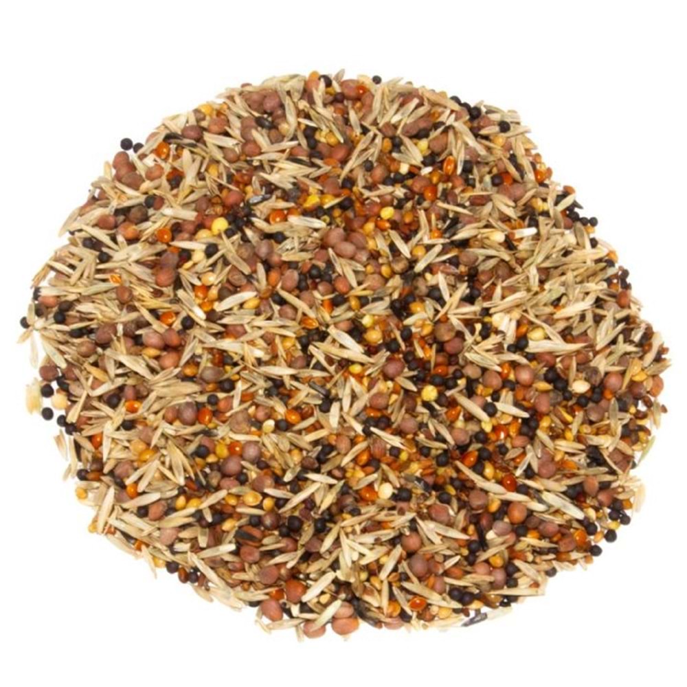 21294 DELİ NATURE 93 SUPER SAĞLIK TOHUMU 15KG