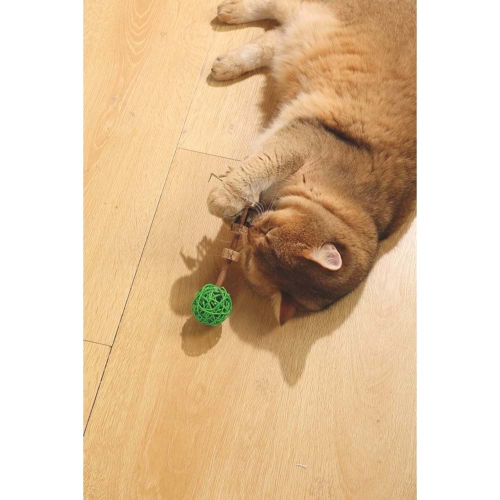 20640399 M-PETS CHARMY AMULET MATATABİ KEDİ OYUNCAĞI GREEN