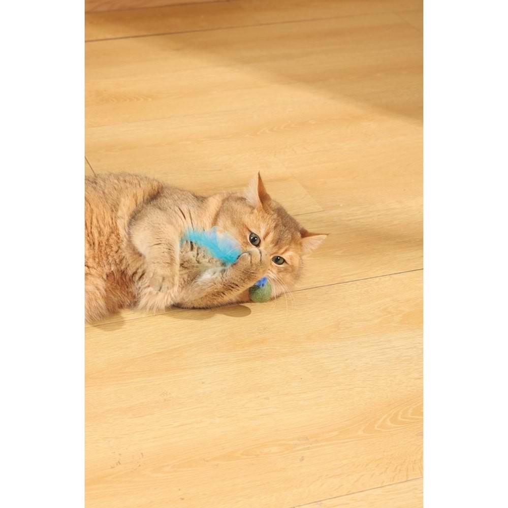 20640699 M-PETS CHARMY FIREFLY CATNİPLİ KEDİ OYUNCAĞI BLUE