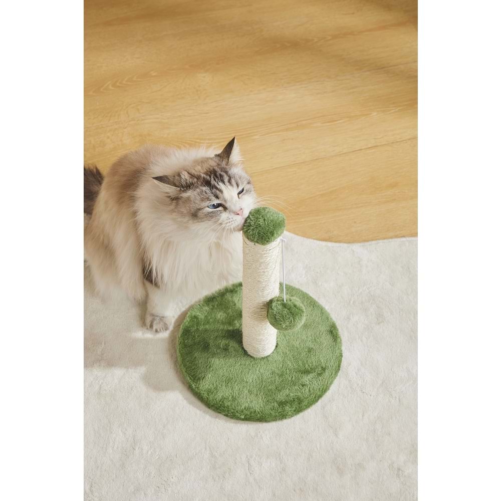 20643099 M-PETS MY FIRST KEDİ TIRMALAMA PONPONLU GREEN