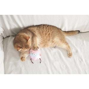 20646799 M-PETS PLUME ZEE CATNİPLİ KEDİ OYUNCAĞI MULTİCOLOR