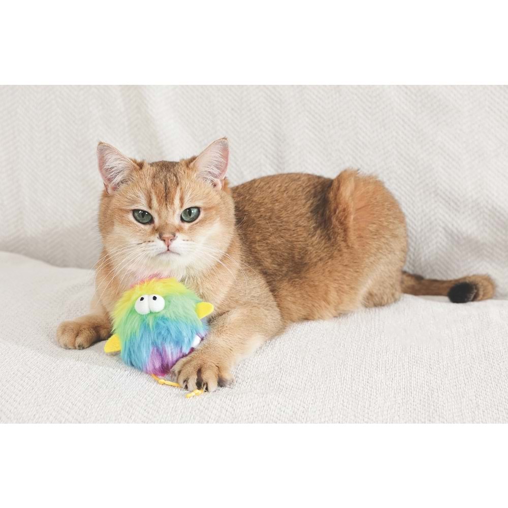20646899 M-PETS PLUME ZEE CATNİPLİ KEDİ OYUNCAĞI MULTİCOLOR