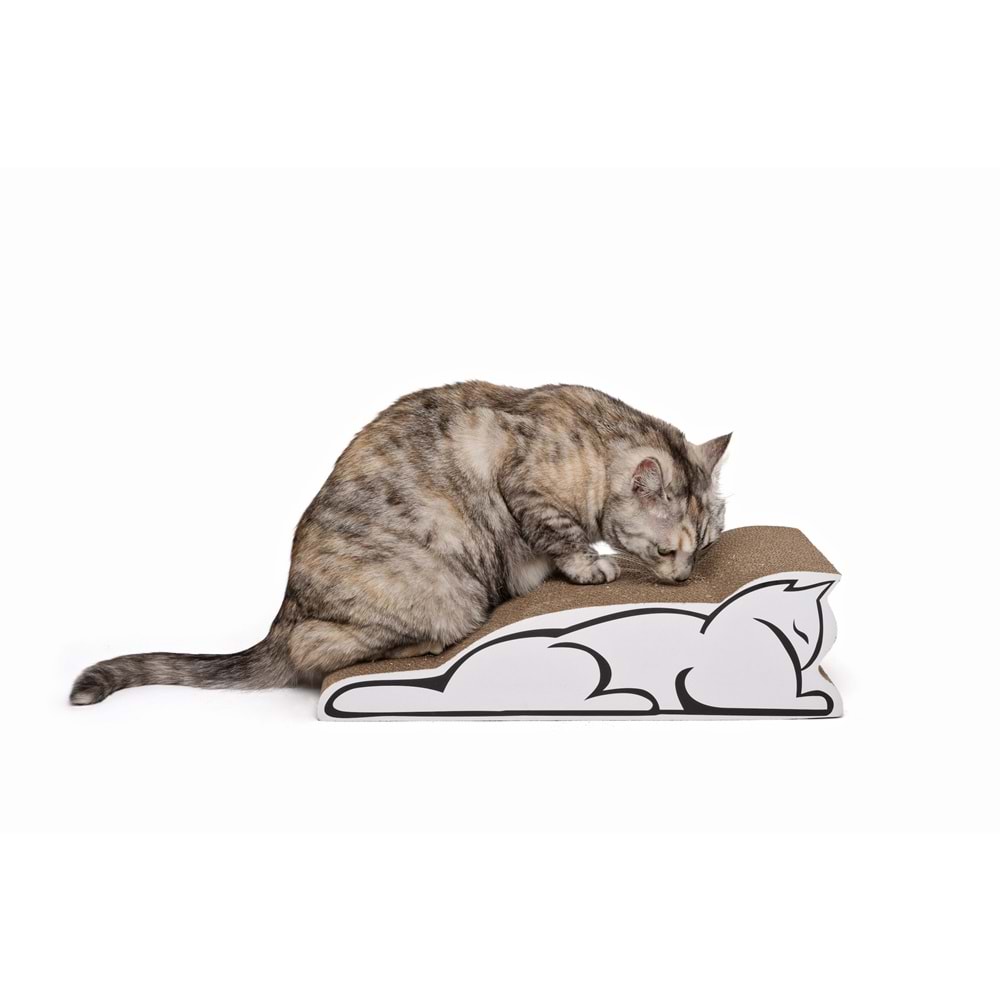 20702699 M-PETS MY SCRATCHY BALTIMORE KARTON TIRMALAMA WHİTE