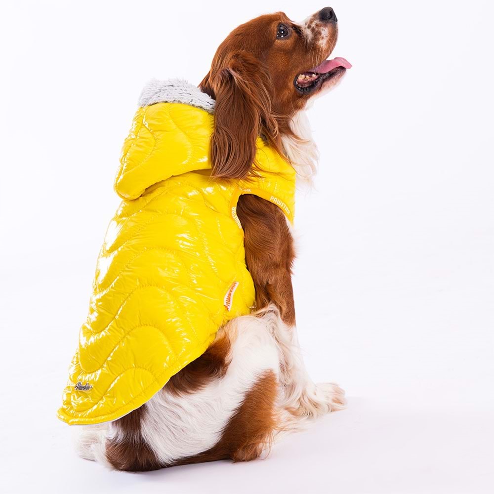 23112-PAWSTAR SARI LIGHT WAVE YELEK 5Lİ SET M-L-XL-XL-2XL
