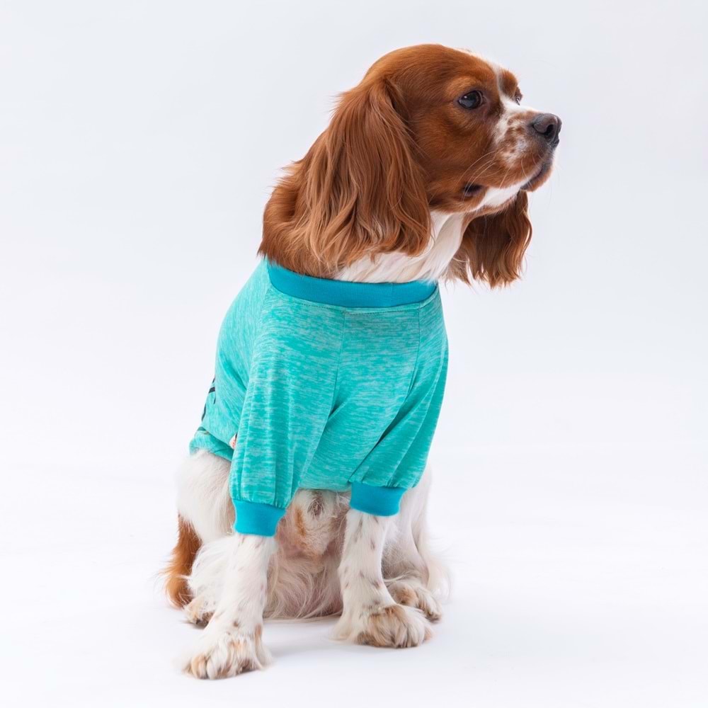 24712-PAWSTAR MINT EVERYTHING SWEAT 5Lİ SET(M-L-XL-XL-2XL)