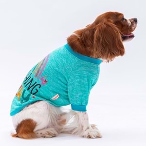 24712-PAWSTAR MINT EVERYTHING SWEAT 5Lİ SET(M-L-XL-XL-2XL)
