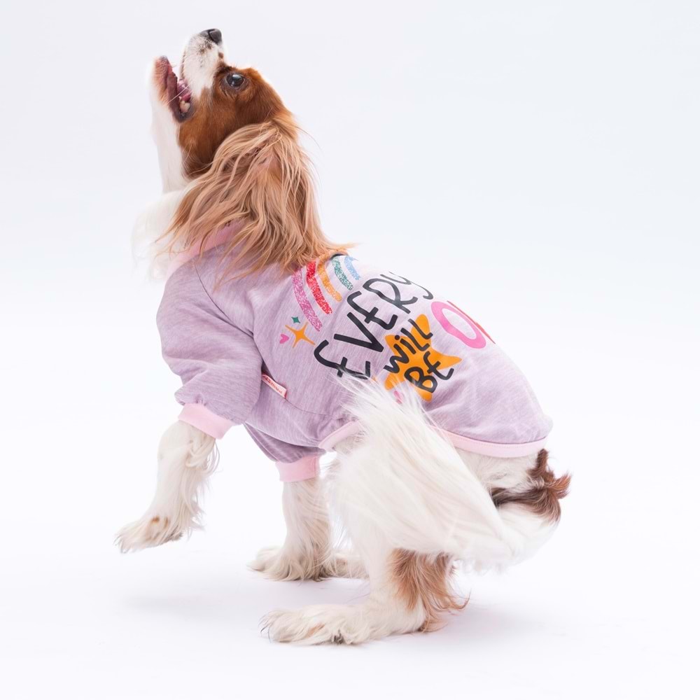 24714-PAWSTAR LİLA EVERYTHING SWEAT 5Lİ SET(M-L-XL-XL-2XL)