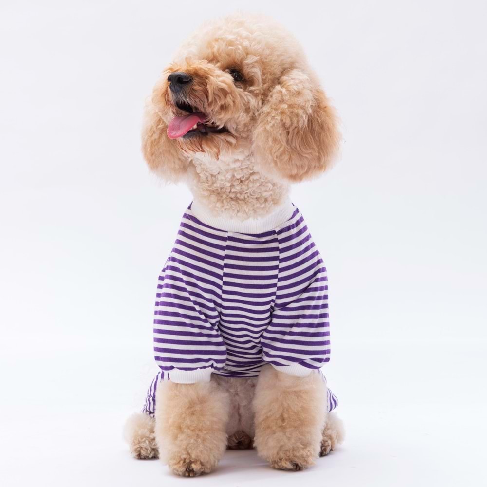 24904-PAWSTAR MOR JUST MORE PİJAMA TULUM 5Lİ SET(M-L-L-XL-2XL)