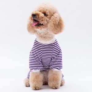 24904-PAWSTAR MOR JUST MORE PİJAMA TULUM 5Lİ SET(M-L-L-XL-2XL)