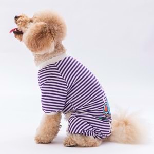 24904-PAWSTAR MOR JUST MORE PİJAMA TULUM 5Lİ SET(M-L-L-XL-2XL)