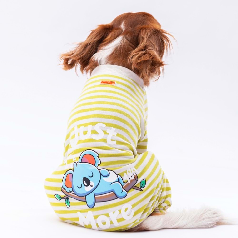 24906-PAWSTAR YEŞİL JUST MORE PİJAMA TULUM 5Lİ SET(M-L-L-XL-2XL)