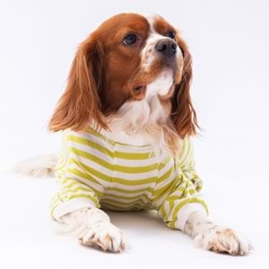 24906-PAWSTAR YEŞİL JUST MORE PİJAMA TULUM 5Lİ SET(M-L-L-XL-2XL)
