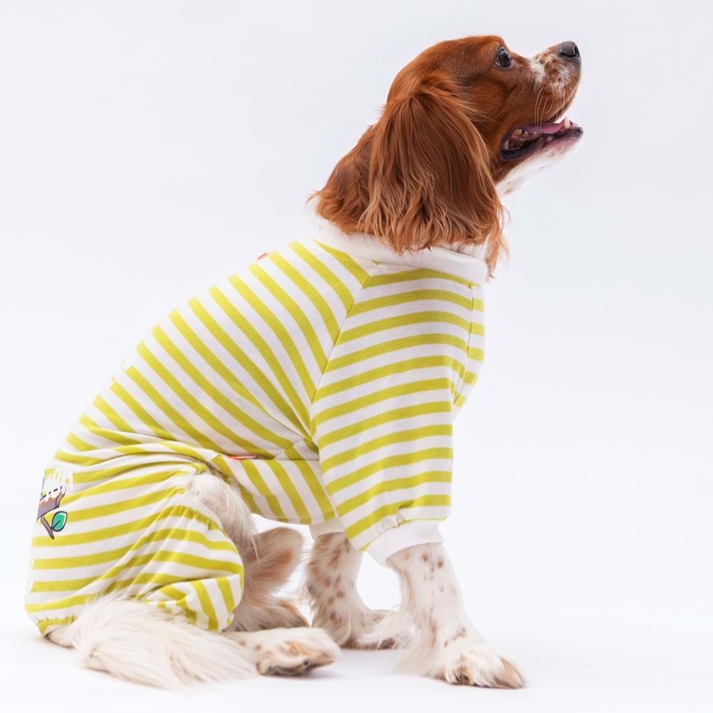 24906-PAWSTAR YEŞİL JUST MORE PİJAMA TULUM 5Lİ SET(M-L-L-XL-2XL)