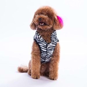 25107-PAWSTAR LODWAR STREET YELEK 5Lİ SET M-L-L-XL-2XL