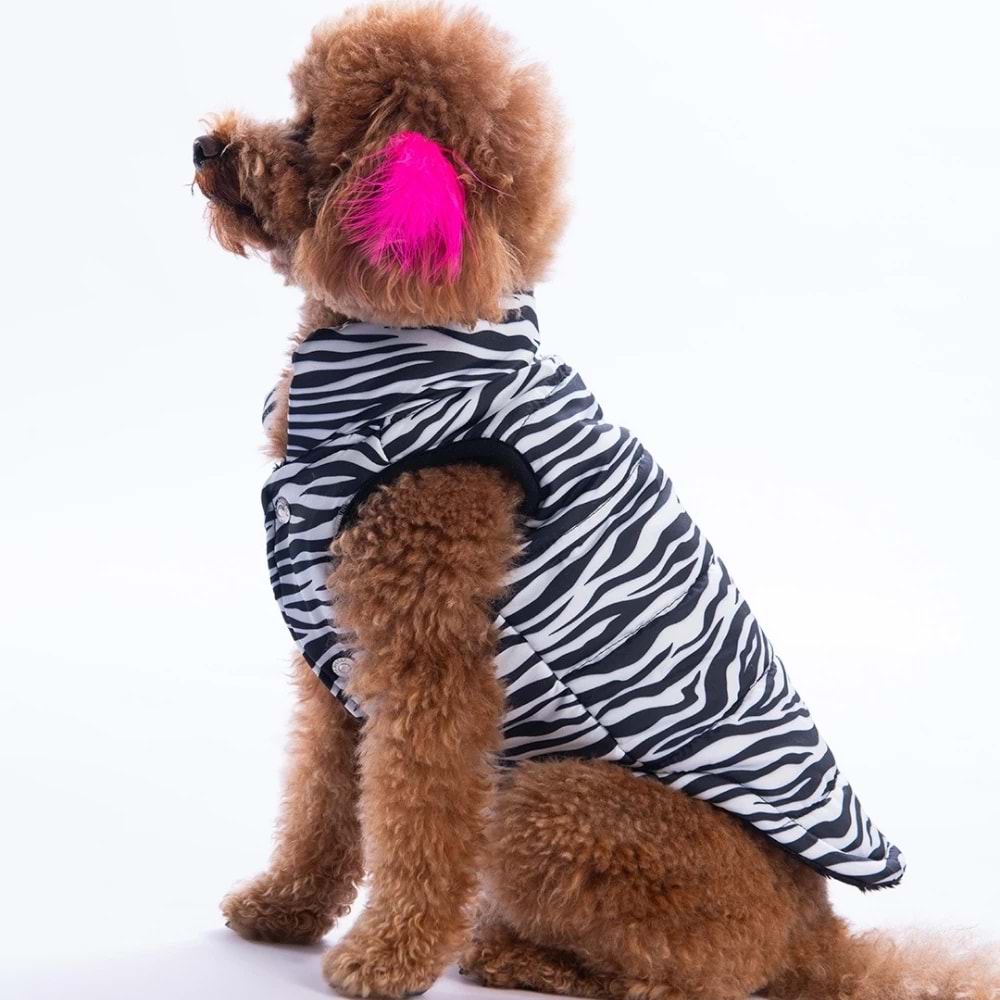 25107-PAWSTAR LODWAR STREET YELEK 5Lİ SET M-L-L-XL-2XL