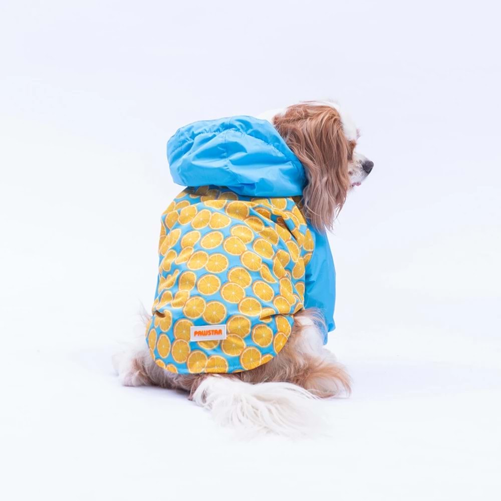25510-PAWSTAR NICE CITRUS YAĞMURLUK 5Lİ SET M-L-L-XL-2XL
