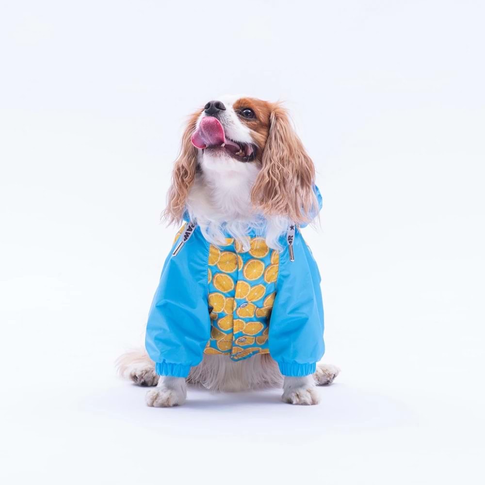 25510-PAWSTAR NICE CITRUS YAĞMURLUK 5Lİ SET M-L-L-XL-2XL