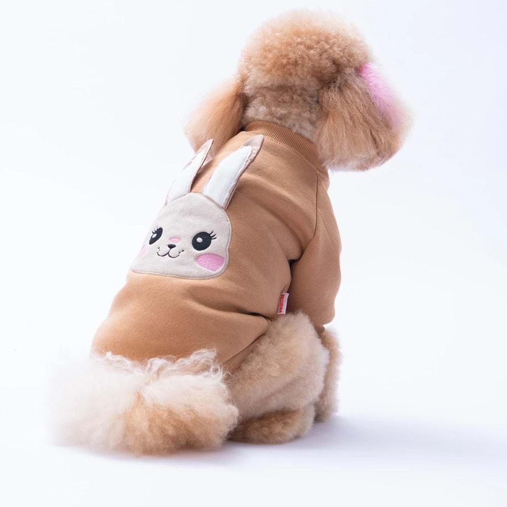 25713-PAWSTAR KAHVERENGI DUBLIN HOPPER SWEAT 5Lİ SET M-L-L-XL-2XL