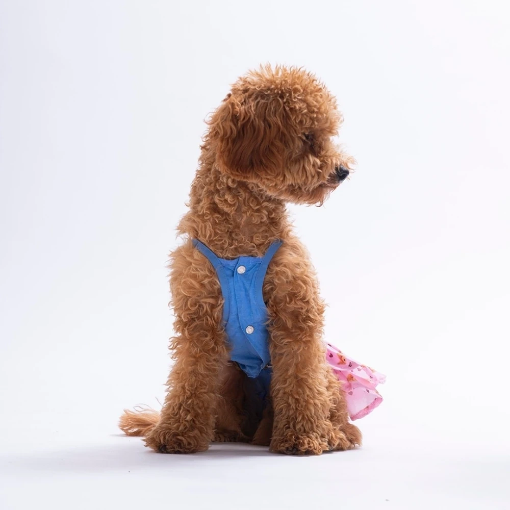 26312-PAWSTAR COZİE BEAR DENİM ELBİSE 5Lİ SET (S-M-L-L-XL)