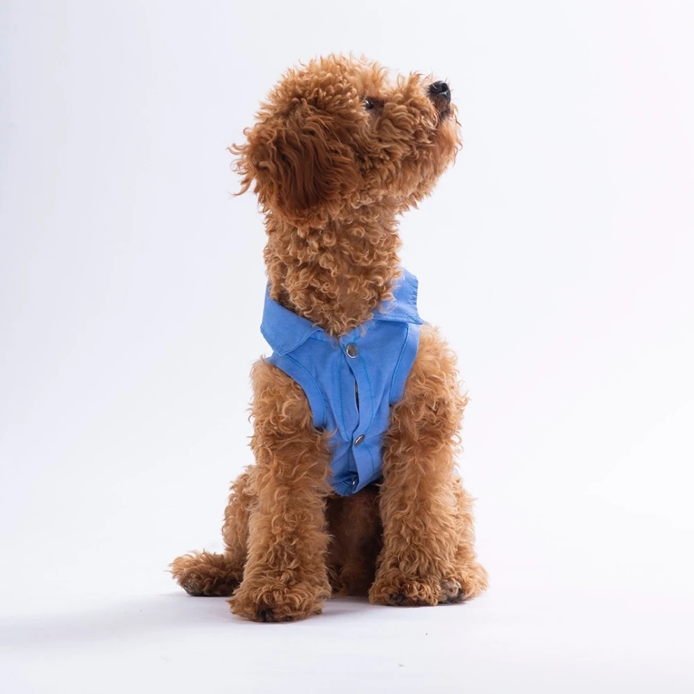 26408-PAWSTAR AVO BLİSS DESENLİ DENİM GÖMLEK 5Lİ SET (M-L-L-XL-2XL)