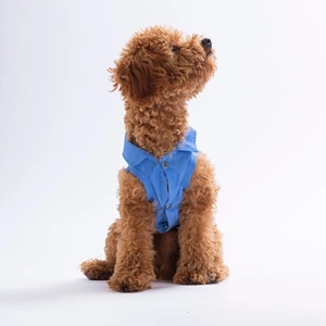 26408-PAWSTAR AVO BLİSS DESENLİ DENİM GÖMLEK 5Lİ SET (M-L-L-XL-2XL)