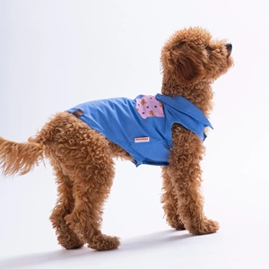 26409-PAWSTAR COZİE BEAR DESENLİ DENİM GÖMLEK 5Lİ SET (M-L-L-XL-2XL)