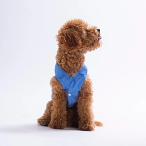 26409-PAWSTAR COZİE BEAR DESENLİ DENİM GÖMLEK 5Lİ SET (M-L-L-XL-2XL)