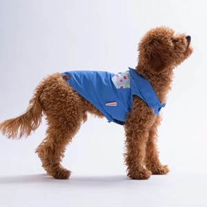 26410-PAWSTAR RUBY SLİCE DESENLİ DENİM GÖMLEK 5Lİ SET (M-L-L-XL-2XL)