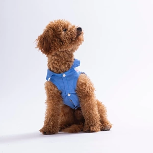26410-PAWSTAR RUBY SLİCE DESENLİ DENİM GÖMLEK 5Lİ SET (M-L-L-XL-2XL)