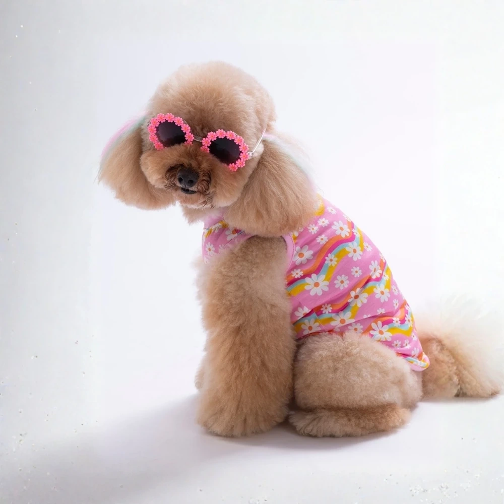 26827-PAWSTAR DAİSY TSHİRT 6LI SET (S-M-L-L-XL-2XL)