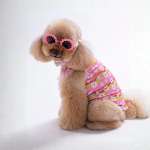 26827-PAWSTAR DAİSY TSHİRT 6LI SET (S-M-L-L-XL-2XL)