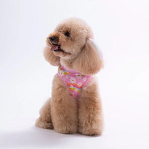 26827-PAWSTAR DAİSY TSHİRT 6LI SET (S-M-L-L-XL-2XL)