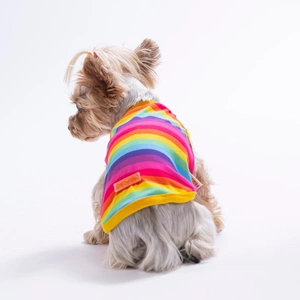 26829-PAWSTAR RAİNBOW TİŞÖRT 6LI SET (S-M-L-L-XL-2XL)