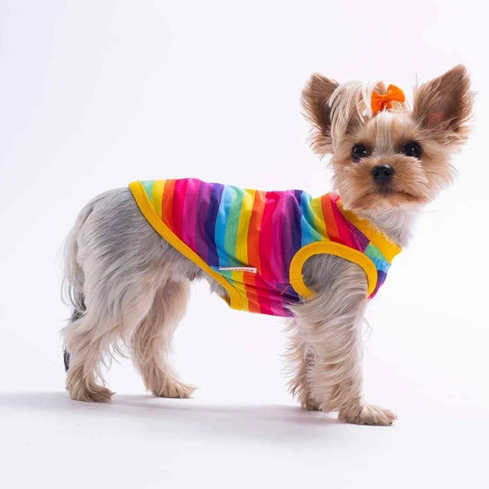 26829-PAWSTAR RAİNBOW TİŞÖRT 6LI SET (S-M-L-L-XL-2XL)