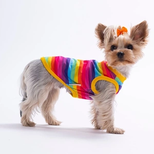 26829-PAWSTAR RAİNBOW TİŞÖRT 6LI SET (S-M-L-L-XL-2XL)