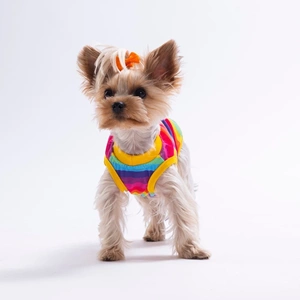 26829-PAWSTAR RAİNBOW TİŞÖRT 6LI SET (S-M-L-L-XL-2XL)