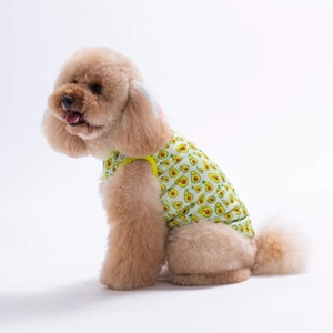 26832-PAWSTAR AVOCADO TSHİRT 6LI SET (S-M-L-L-XL-2XL)