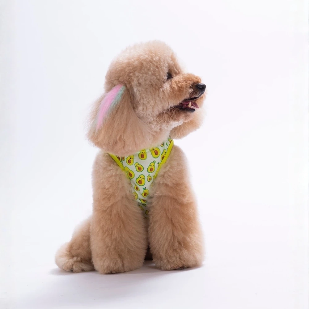 26832-PAWSTAR AVOCADO TSHİRT 6LI SET (S-M-L-L-XL-2XL)