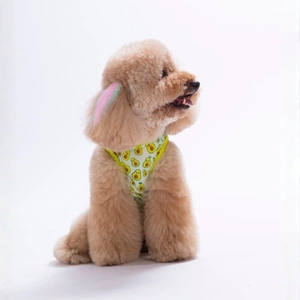 26832-PAWSTAR AVOCADO TSHİRT 6LI SET (S-M-L-L-XL-2XL)