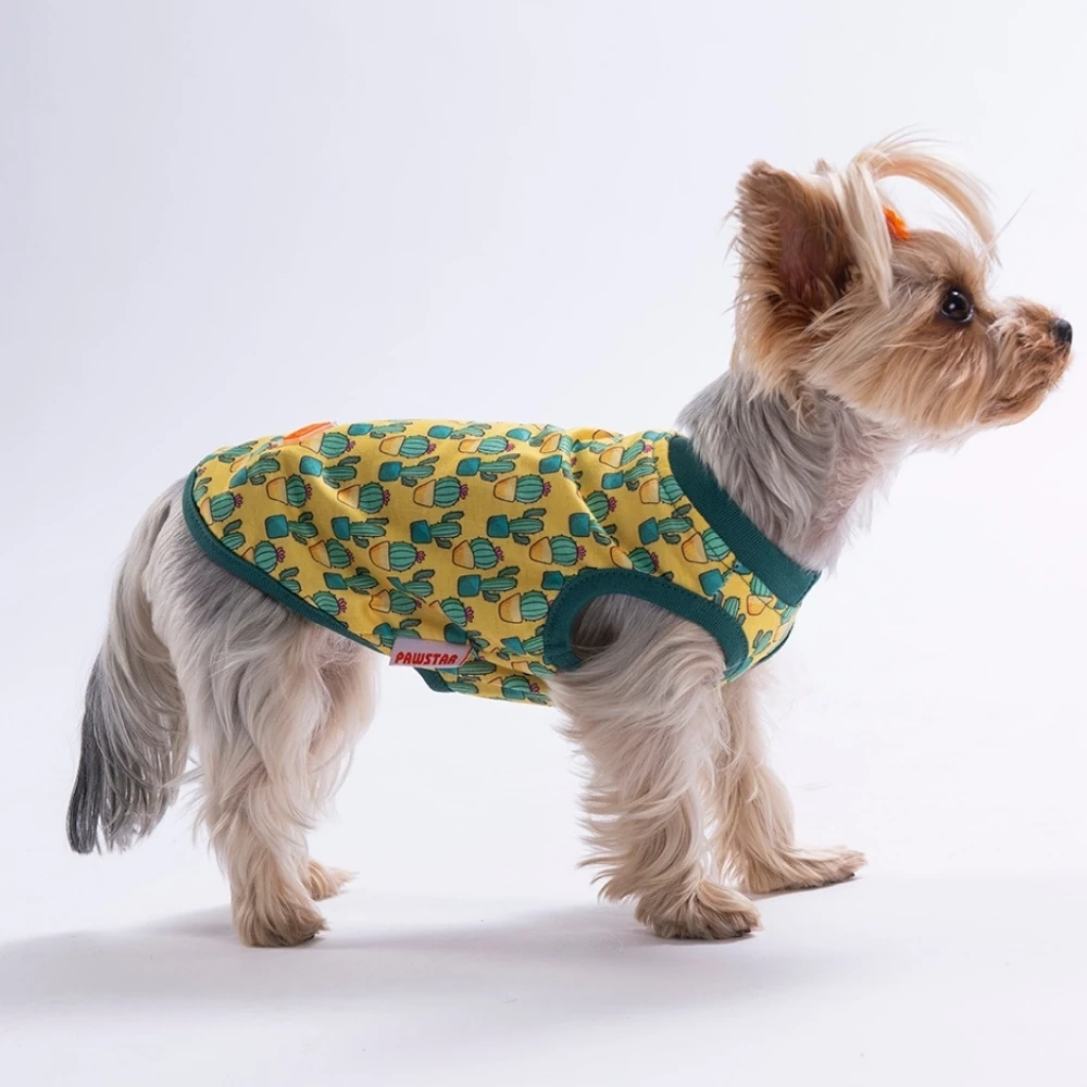 26835-PAWSTAR CACTUS TSHİRT 6LI SET (S-M-L-L-XL-2XL)