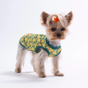 26835-PAWSTAR CACTUS TSHİRT 6LI SET (S-M-L-L-XL-2XL)